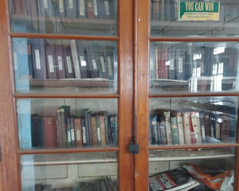 Image 2